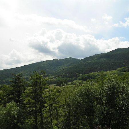 A L'Arbre Vert Wintzfelden Exteriör bild