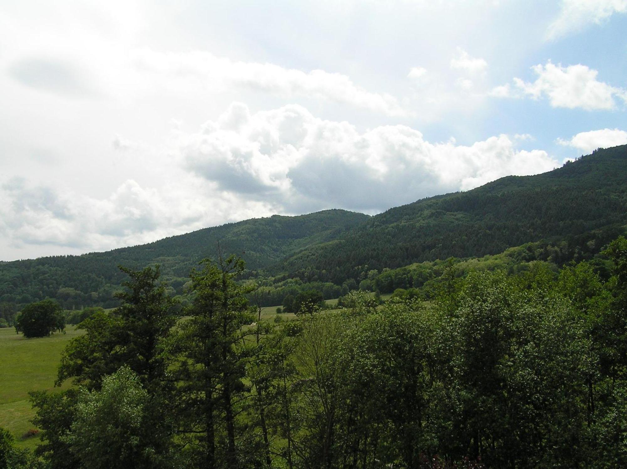 A L'Arbre Vert Wintzfelden Exteriör bild